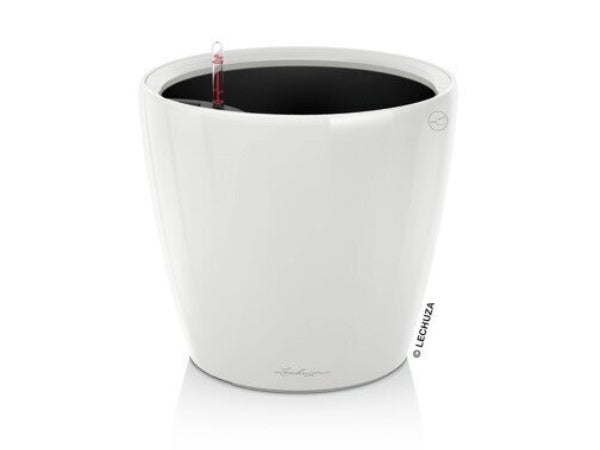 Lechuza Classico Premium 50 Altakasteluruukku, valkoinen (All-In-One)